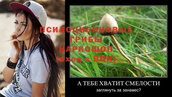 марки nbome Коряжма