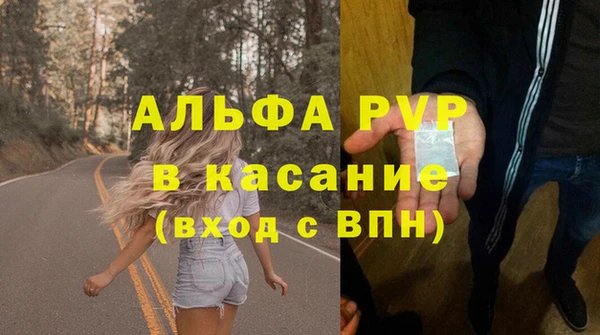 прущие грибы Краснослободск