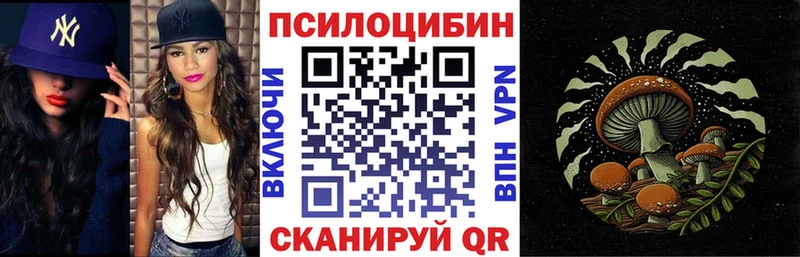 Галлюциногенные грибы Cubensis  цены   Кудымкар 
